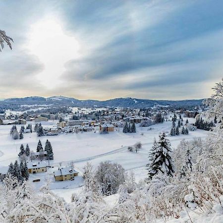 Babaute 7, studio typique au pied des pistes Prémanon Extérieur photo