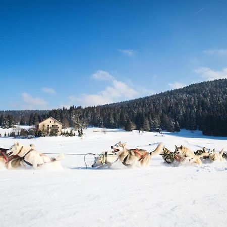 Babaute 7, studio typique au pied des pistes Prémanon Extérieur photo