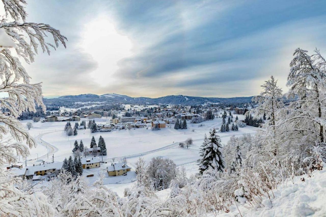 Babaute 7, studio typique au pied des pistes Prémanon Extérieur photo