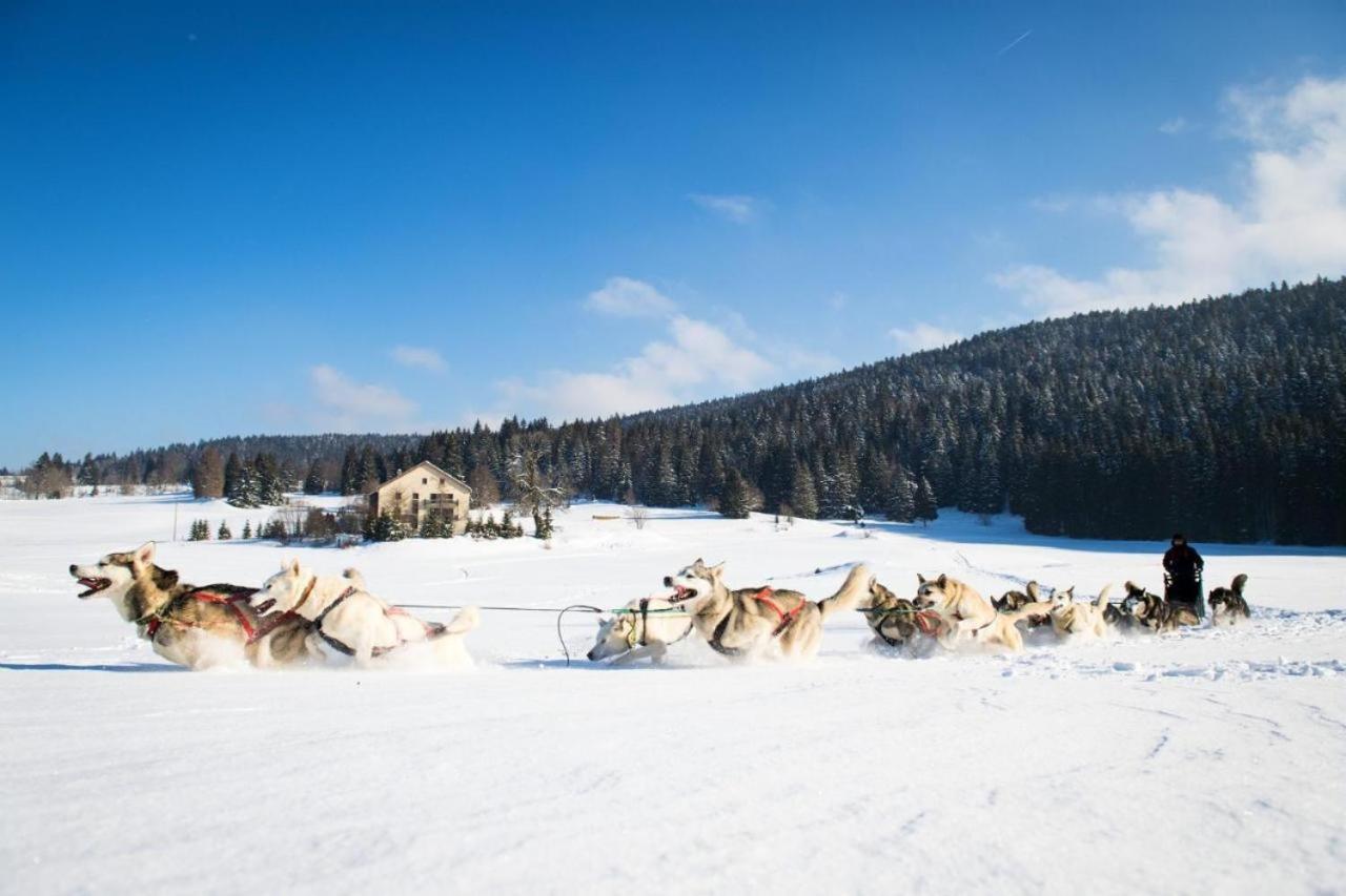 Babaute 7, studio typique au pied des pistes Prémanon Extérieur photo